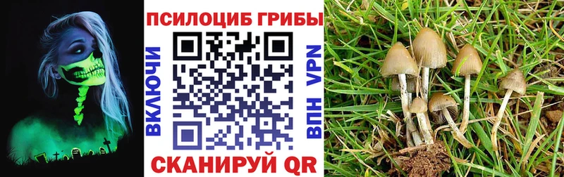 Галлюциногенные грибы прущие грибы  Купить закладки  Прохладный 